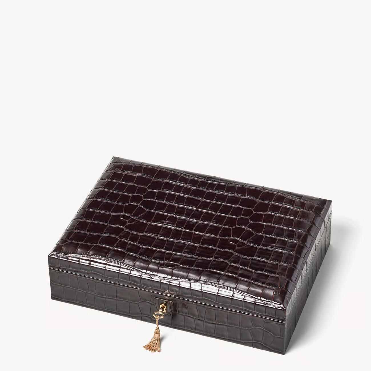 Glasses Case